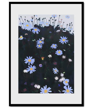 Field Of Blue And White Daisies On A Dark Background