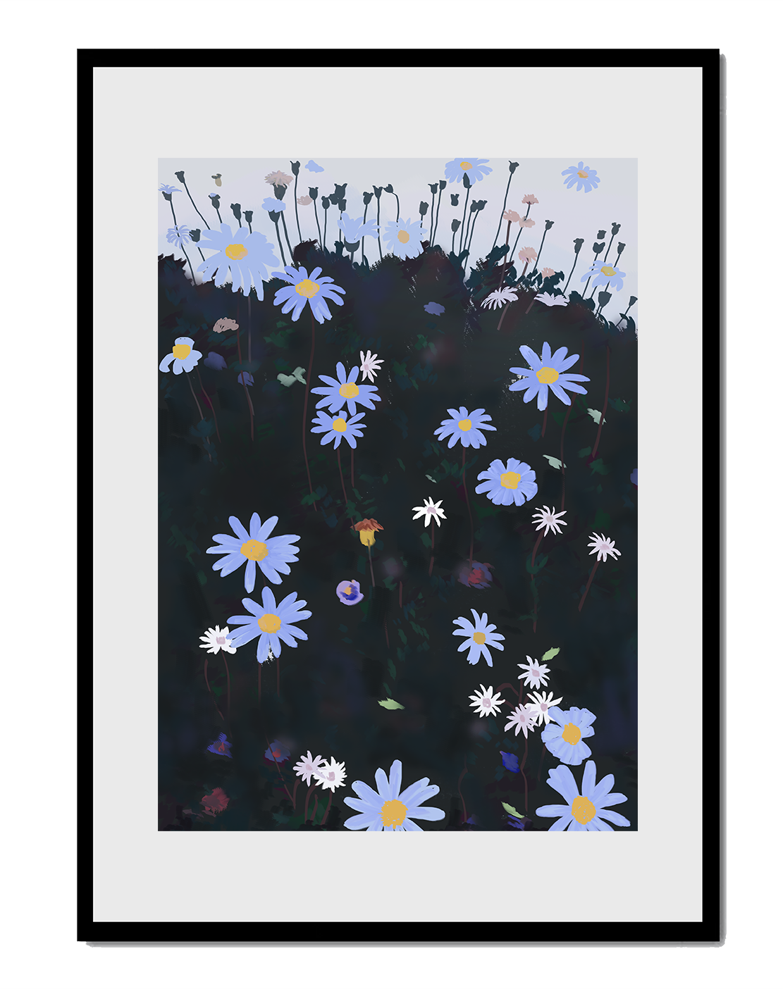 Field Of Blue And White Daisies On A Dark Background