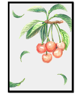 Ilustración realista de rama de cerezo con hojas verdes