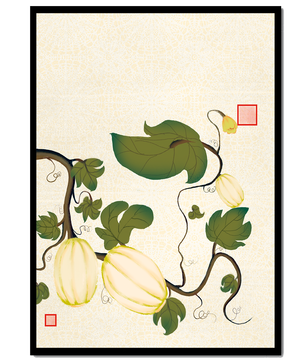 Illustration botanique élégante de melons et de vignes sur un fond texturé