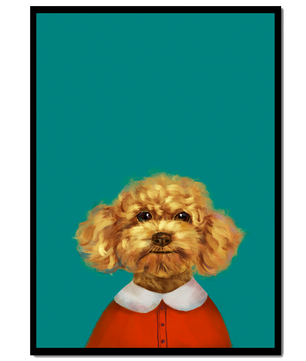 Portrait de caniche charmant en tenue de fête sur fond turquoise