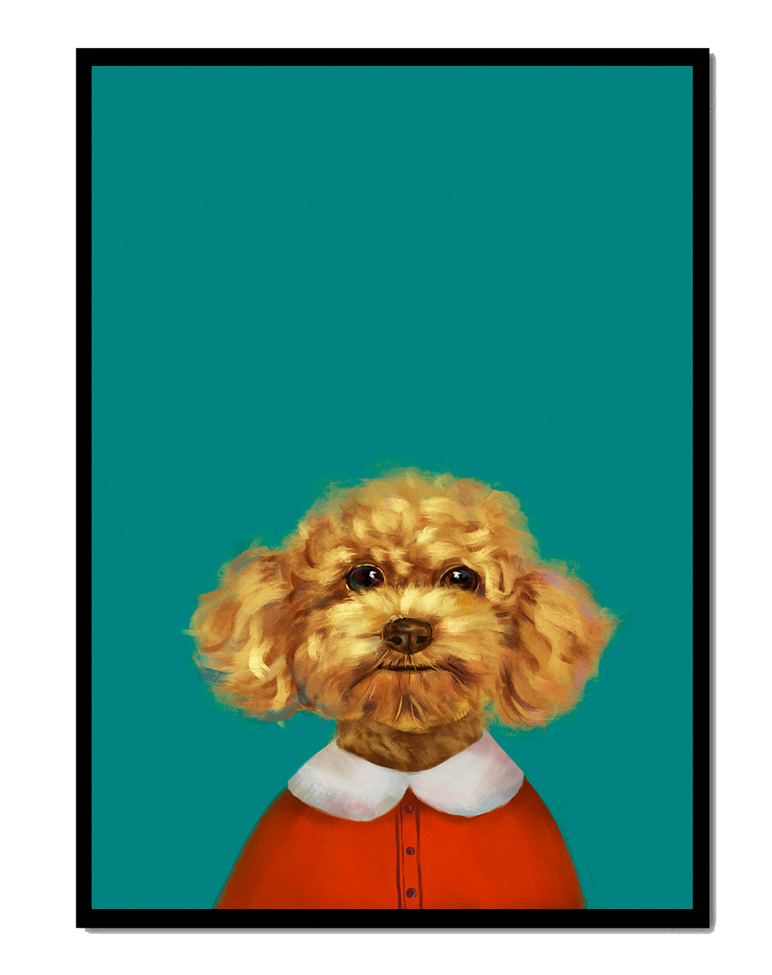 Portrait de caniche charmant en tenue de fête sur fond turquoise