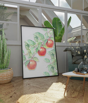 Ilustración de manzanas en la rama de un árbol con hojas verdes
