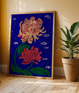 Colorful chrysanthemum illustration on dark blue background