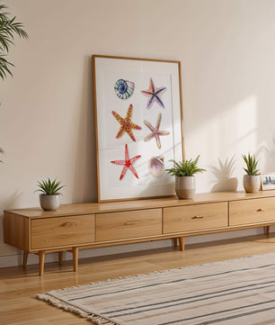 Watercolor collection of seashells and starfish illustration