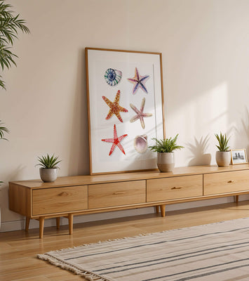 Watercolor collection of seashells and starfish illustration