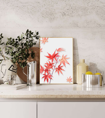 Delicate red maple leaves on white background