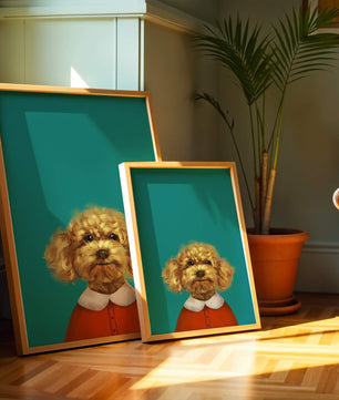 Portrait de caniche charmant en tenue de fête sur fond turquoise