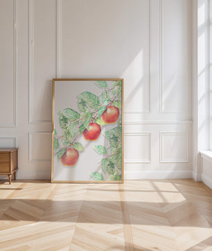 Ilustración de manzanas en la rama de un árbol con hojas verdes