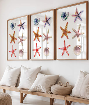 Watercolor collection of seashells and starfish illustration