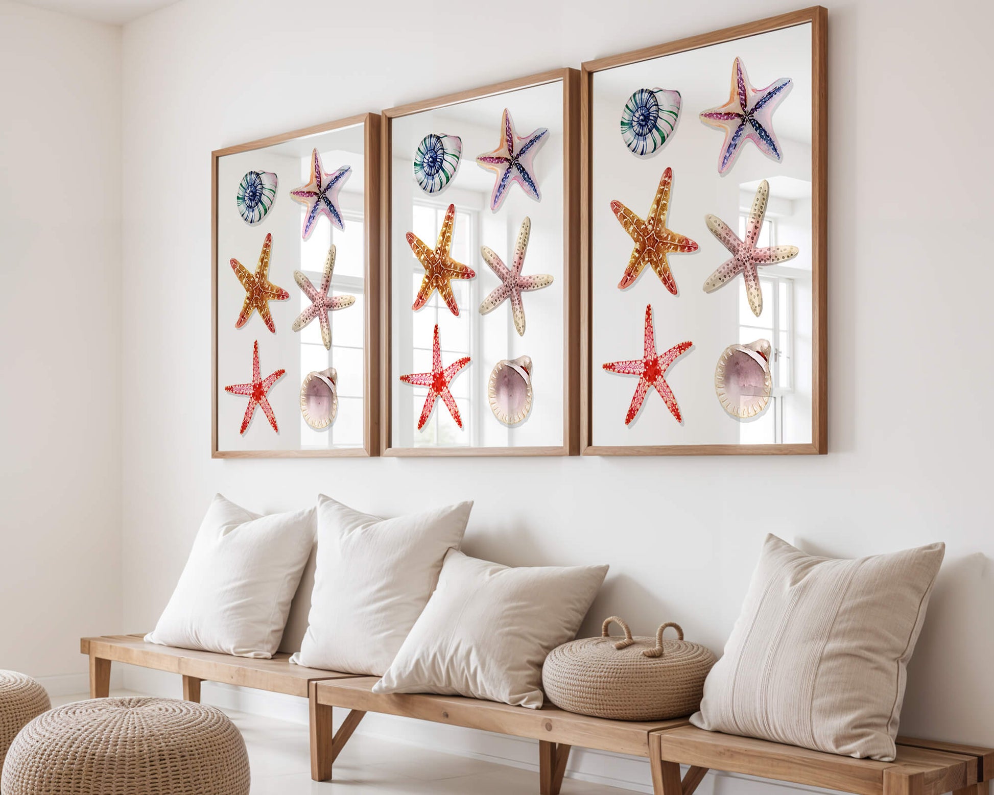 Watercolor collection of seashells and starfish illustration