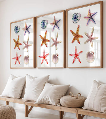 Watercolor collection of seashells and starfish illustration