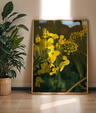 Close-up view of vibrant yellow flowers in a lush green field