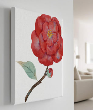 Watercolor illustration of a red camellia flower with green leaves