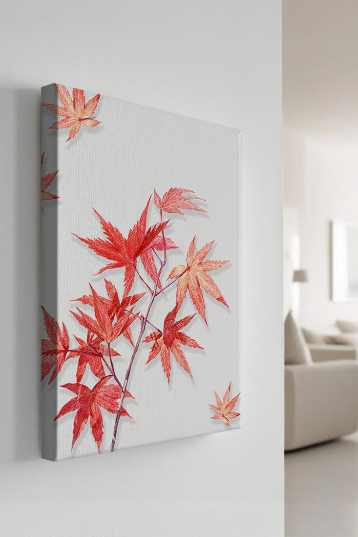 Delicate red maple leaves on white background