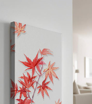 Delicate red maple leaves on white background