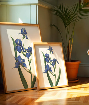 Flores de lirio azul elegantes con acentos dorados sobre un fondo blanco