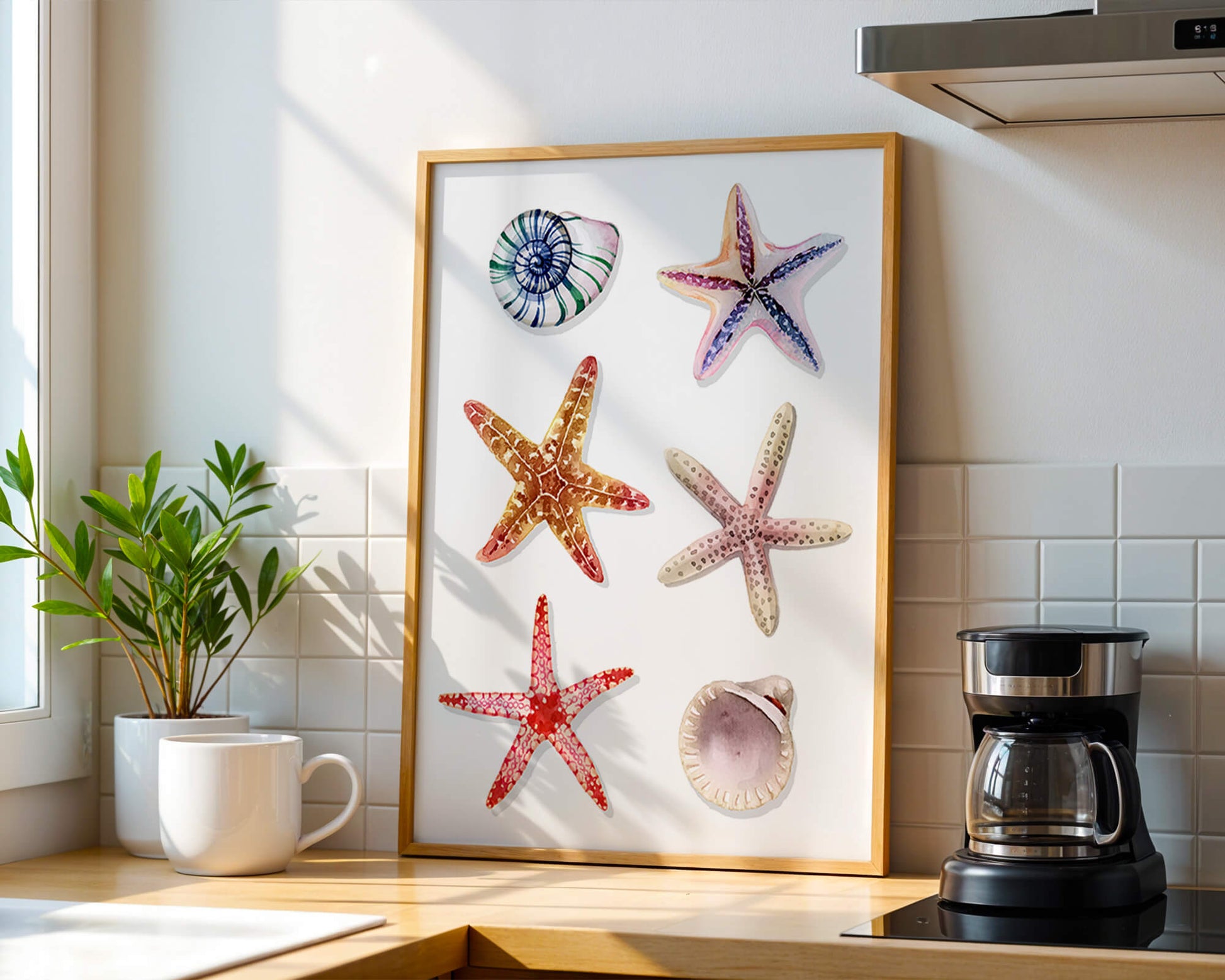 Watercolor collection of seashells and starfish illustration
