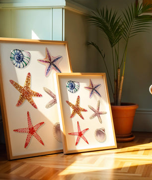 Watercolor collection of seashells and starfish illustration