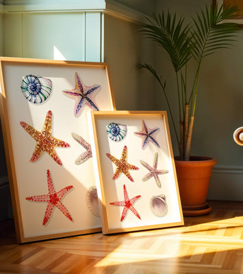 Watercolor collection of seashells and starfish illustration