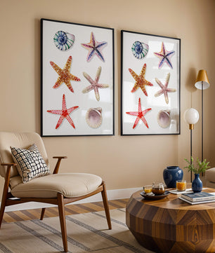 Watercolor collection of seashells and starfish illustration