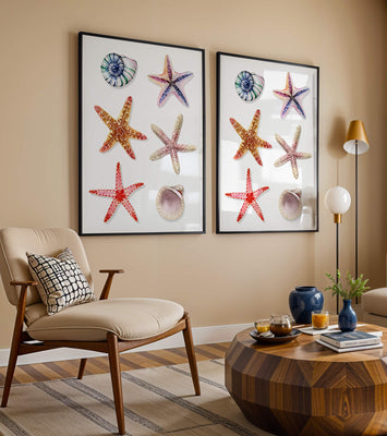 Watercolor collection of seashells and starfish illustration