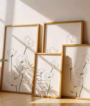 Zarte florale Linienzeichnung mit weißen Mohnblumen auf sauberem Hintergrund
