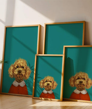 Portrait de caniche charmant en tenue de fête sur fond turquoise