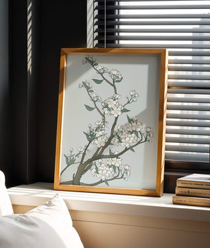 Delicate cherry blossoms on a soft blue background