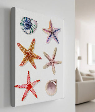 Watercolor collection of seashells and starfish illustration