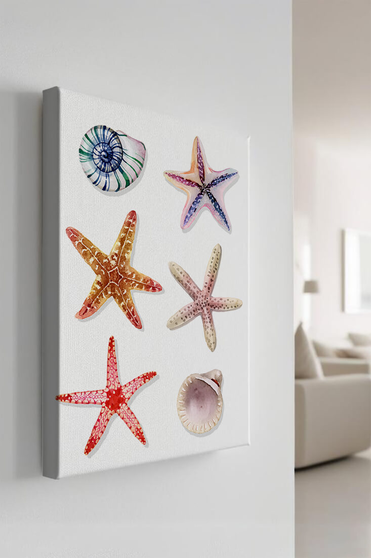 Watercolor collection of seashells and starfish illustration