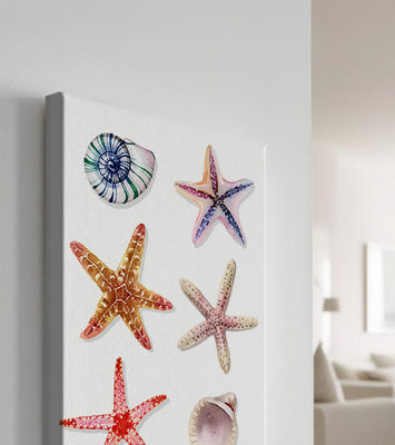 Watercolor collection of seashells and starfish illustration