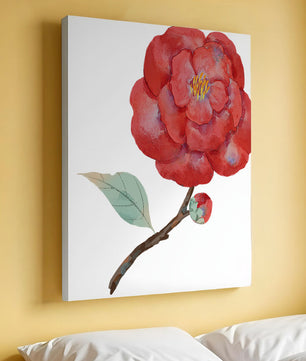 Watercolor illustration of a red camellia flower with green leaves