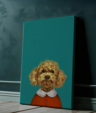 Portrait de caniche charmant en tenue de fête sur fond turquoise