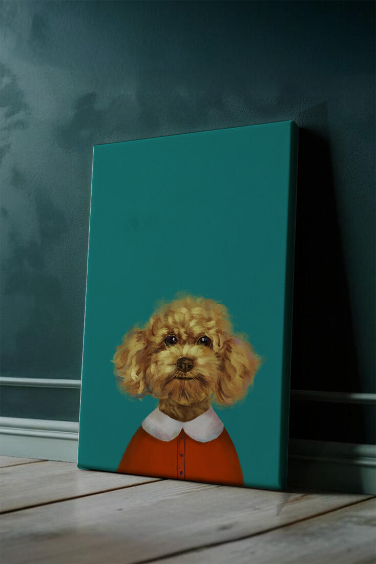 Portrait de caniche charmant en tenue de fête sur fond turquoise