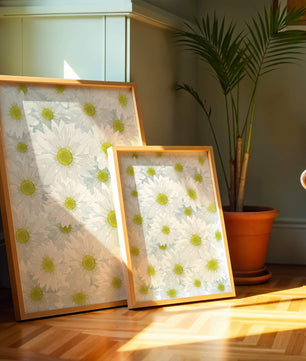 White Daisies Pattern with Yellow Centers
