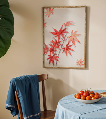 Delicate red maple leaves on white background