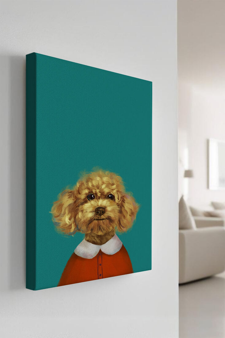 Portrait de caniche charmant en tenue de fête sur fond turquoise