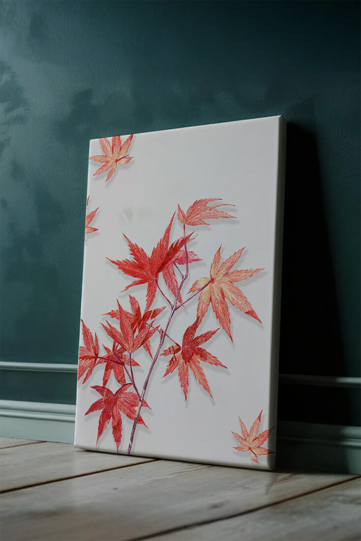 Delicate red maple leaves on white background