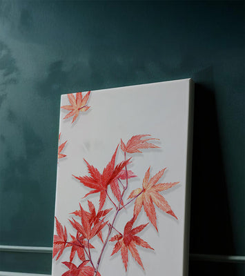 Delicate red maple leaves on white background