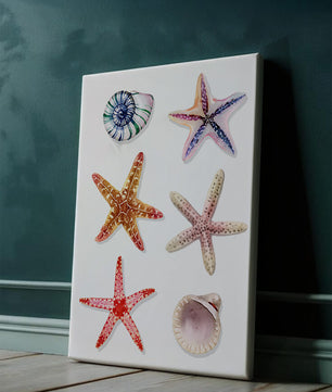 Watercolor collection of seashells and starfish illustration