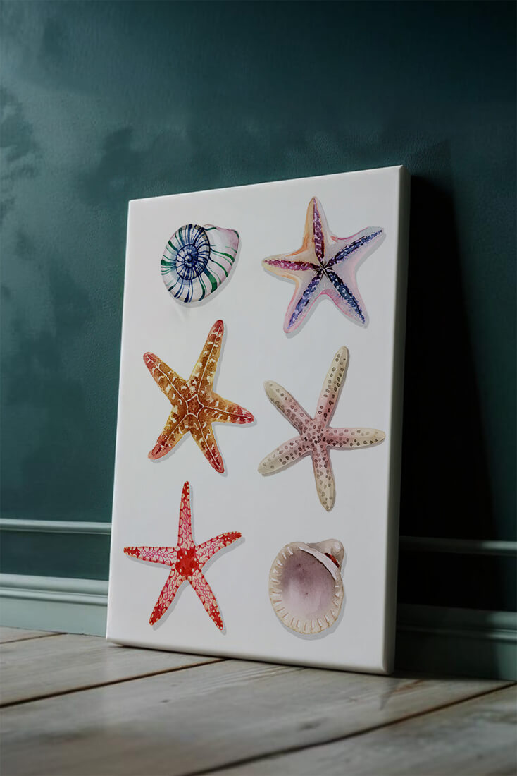 Watercolor collection of seashells and starfish illustration