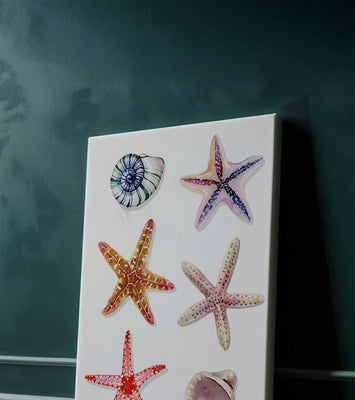 Watercolor collection of seashells and starfish illustration