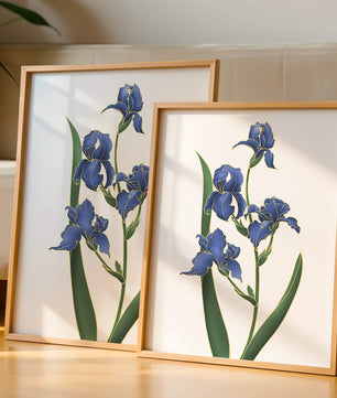 Flores de lirio azul elegantes con acentos dorados sobre un fondo blanco