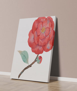 Watercolor illustration of a red camellia flower with green leaves
