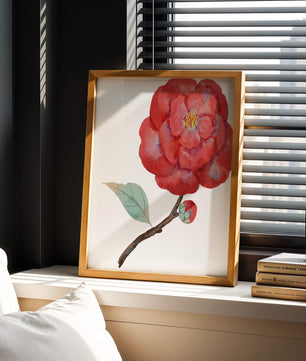 Watercolor illustration of a red camellia flower with green leaves