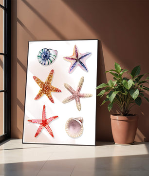 Watercolor collection of seashells and starfish illustration
