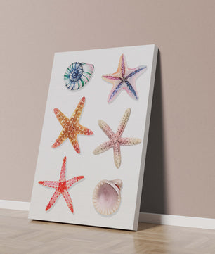 Watercolor collection of seashells and starfish illustration