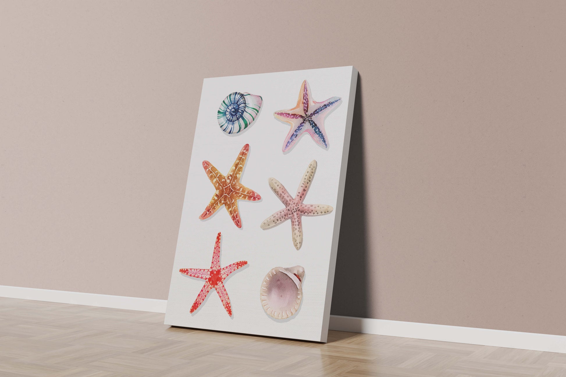 Watercolor collection of seashells and starfish illustration