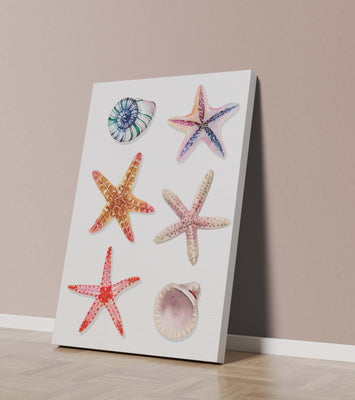 Watercolor collection of seashells and starfish illustration